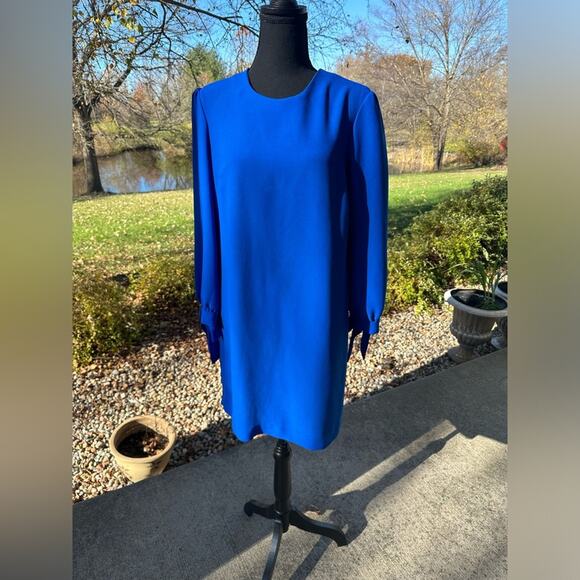 Banana Republic 6 Royal Blue Dress - Picture 9 of 10